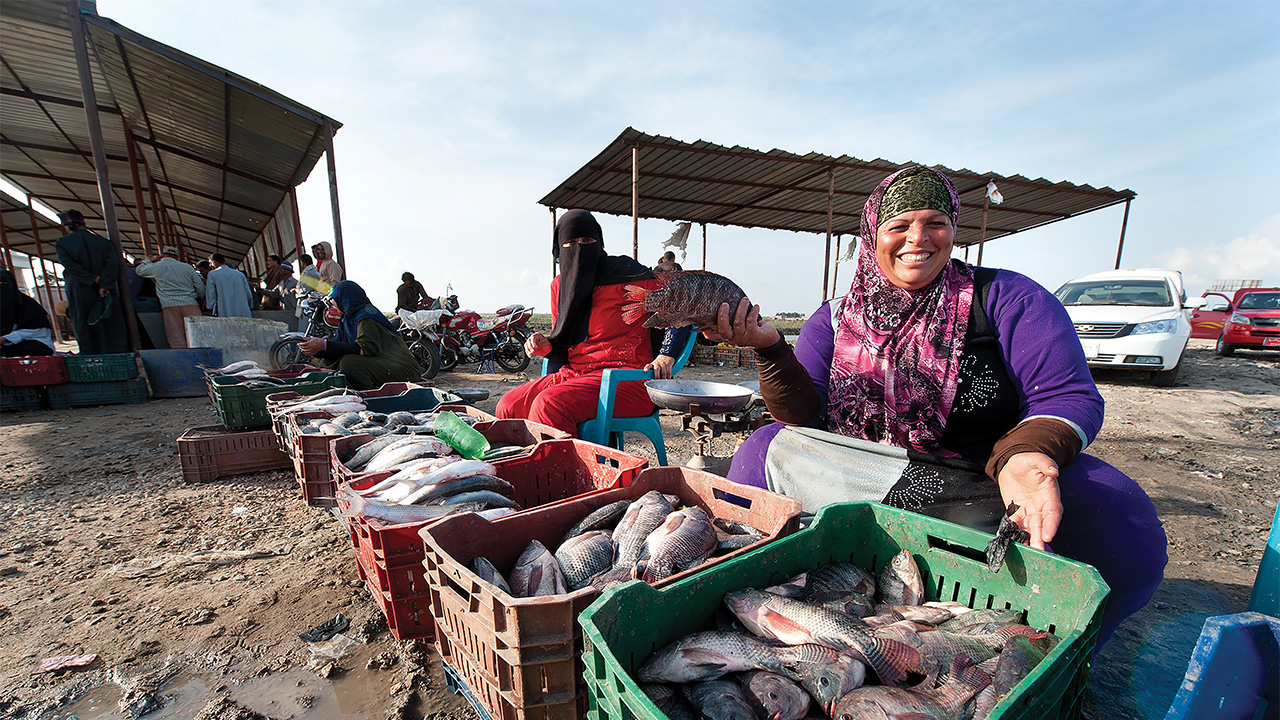 Women at a fish market